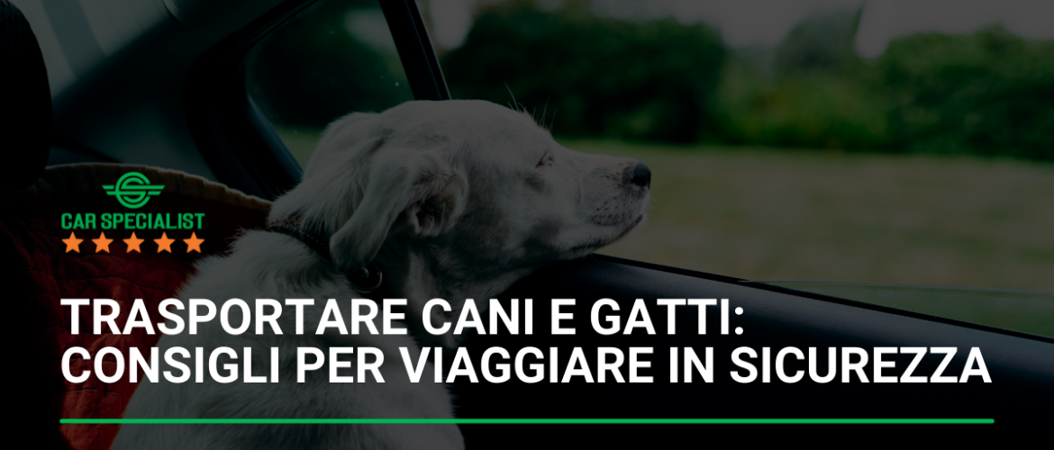 Trasportare cani e gatti: consigli per viaggiare in sicurezza