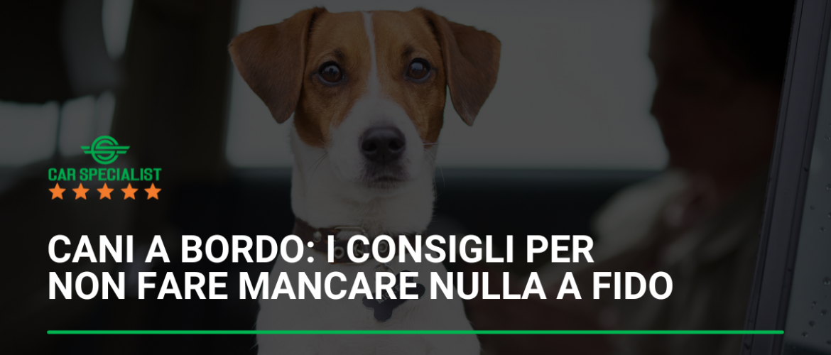 Cani a bordo: i consigli per non fare mancare nulla a Fido