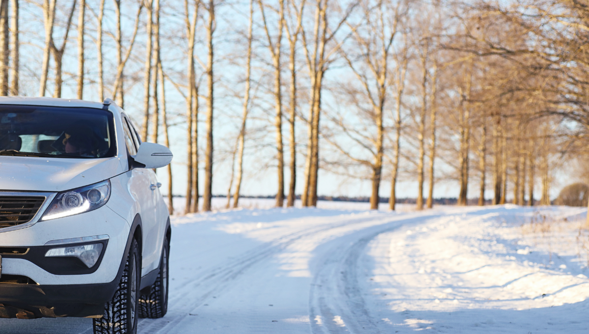 guida auto inverno