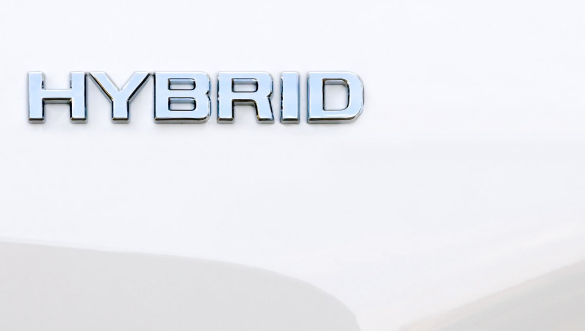 hybrid logo