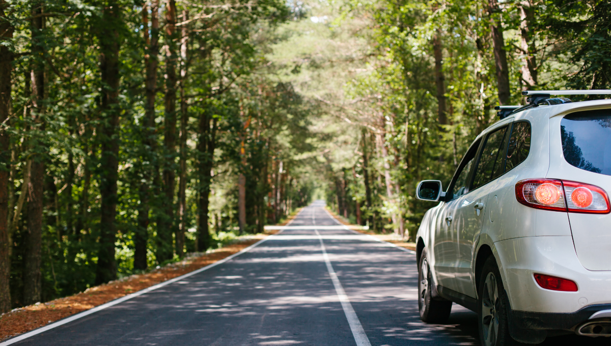 auto noleggio vacanze