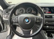 BMW 520 D xDrive Touring Luxury EURO6|RETROCAMERA|XENON|18
