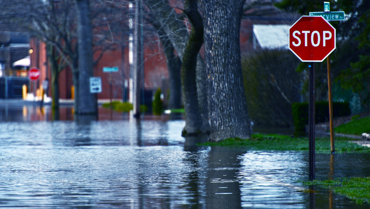 alluvione como auto assicurazione