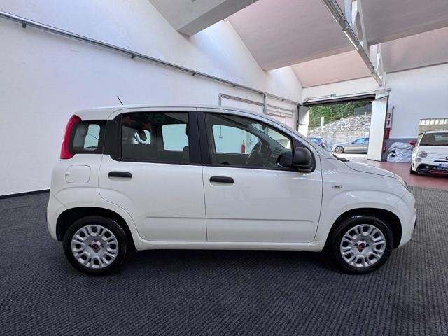 FIAT Panda 1.2 EasyPower GPL|NEOPAT.|CITY|IVA.ESPOSTA