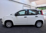 FIAT Panda 1.2 EasyPower GPL|NEOPAT.|CITY|IVA.ESPOSTA