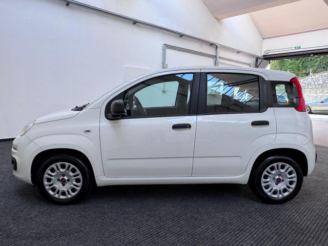 FIAT Panda 1.2 EasyPower GPL|NEOPAT.|CITY|IVA.ESPOSTA