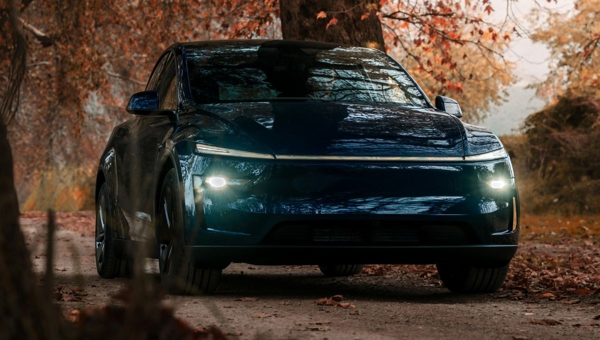 auto elettrica bosco