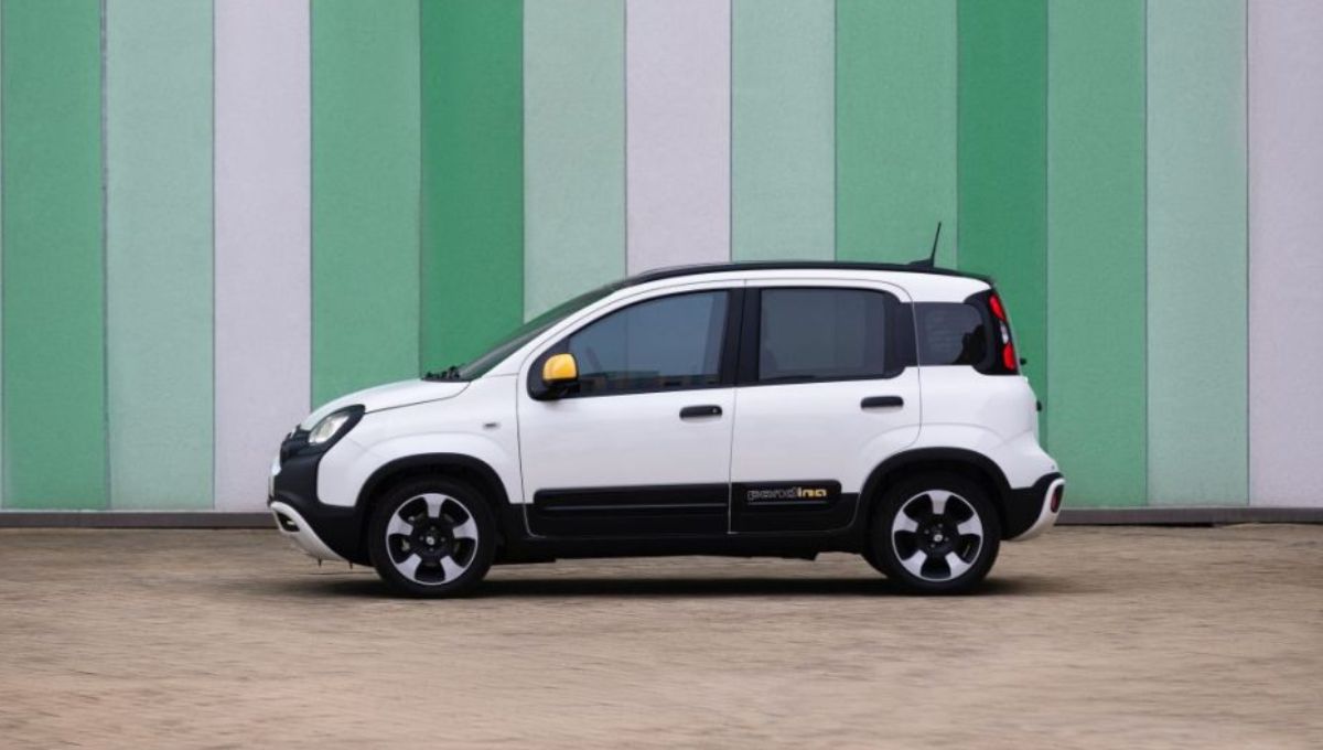 fiat panda fiat panda