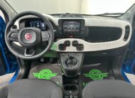 Fiat Panda 1.0 Pandina CROSS hybrid s&s 70cv 5p. PRONTA CONSEGNA