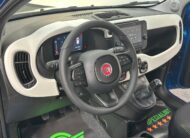 Fiat Panda 1.0 Pandina CROSS hybrid s&s 70cv 5p. PRONTA CONSEGNA